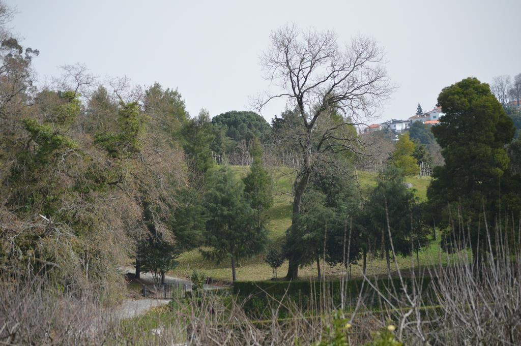 维拉诺瓦-德法马利 Casa Da Encosta - Quinta Da Costa旅舍 外观 照片